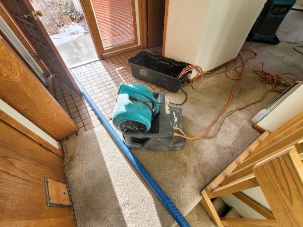 Best Sewage cleanup and water damage restoration  in Jones, OK