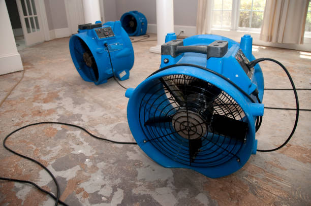 Best Mold removal after water damage  in Jones, OK