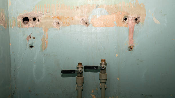 Best Mold removal after water damage  in Jones, OK